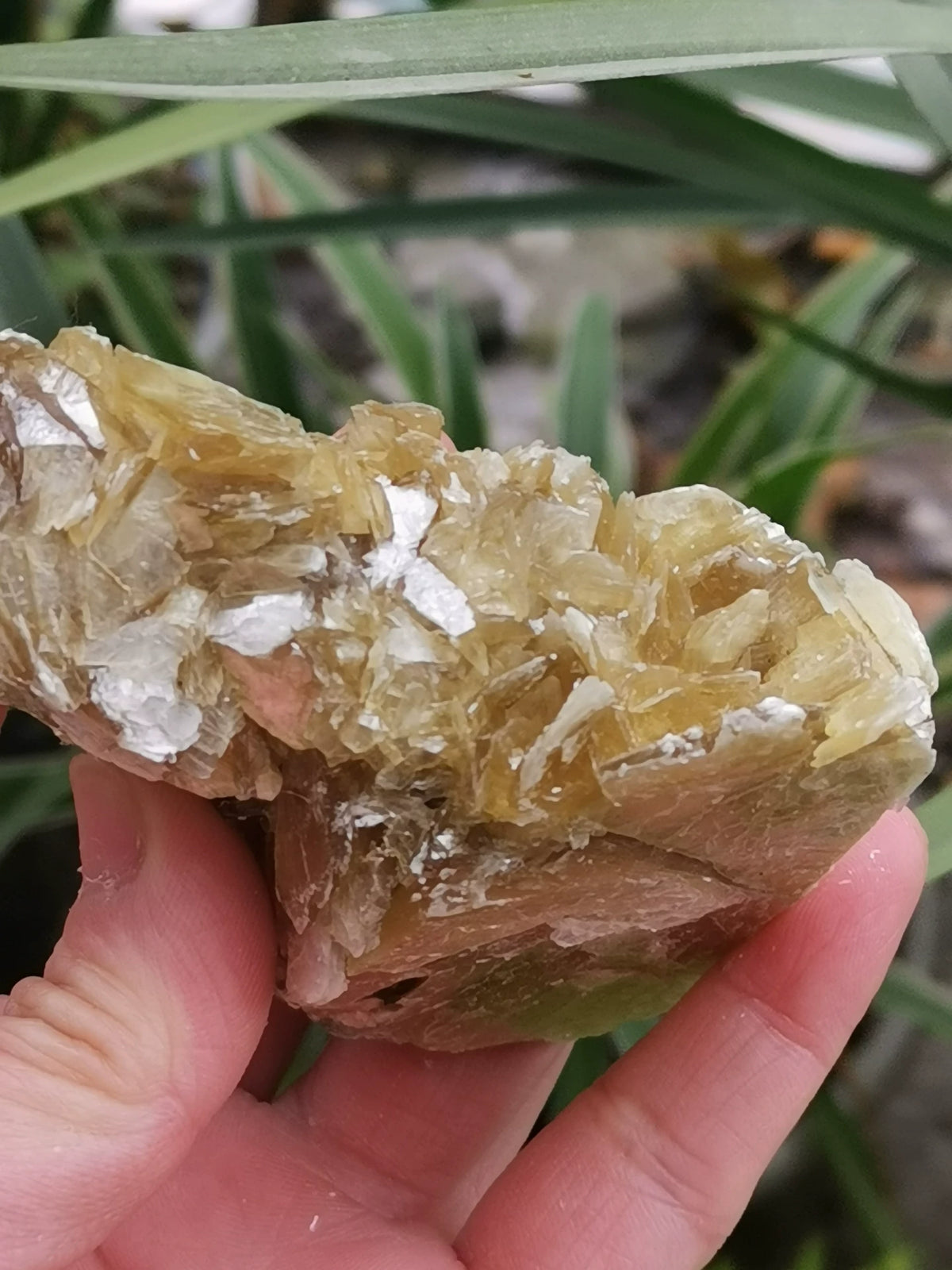 Golden Mica Raw Crystal Specimen 194.67g