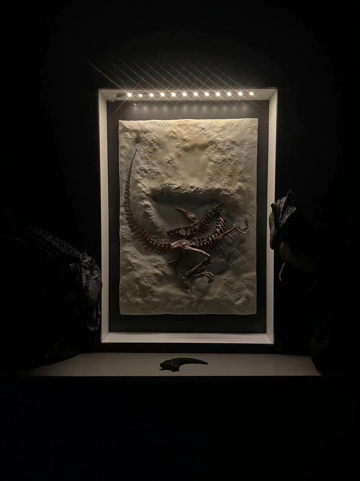 739371886549 - Image 3