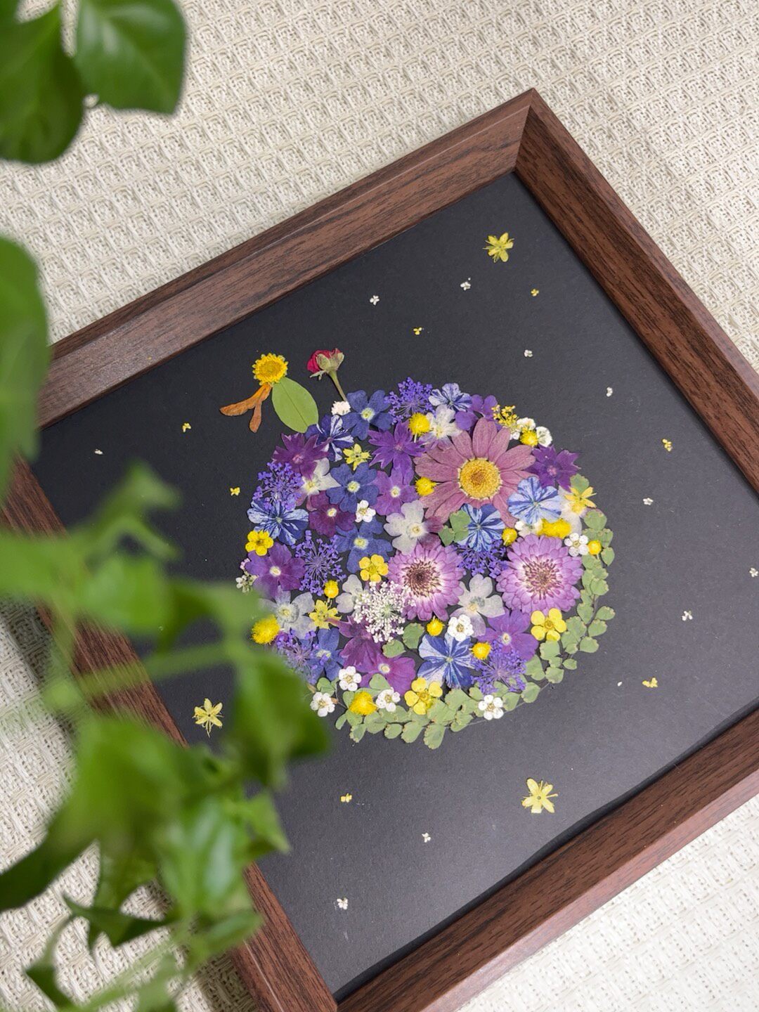 Pressed Flower Planet Picture Frame
