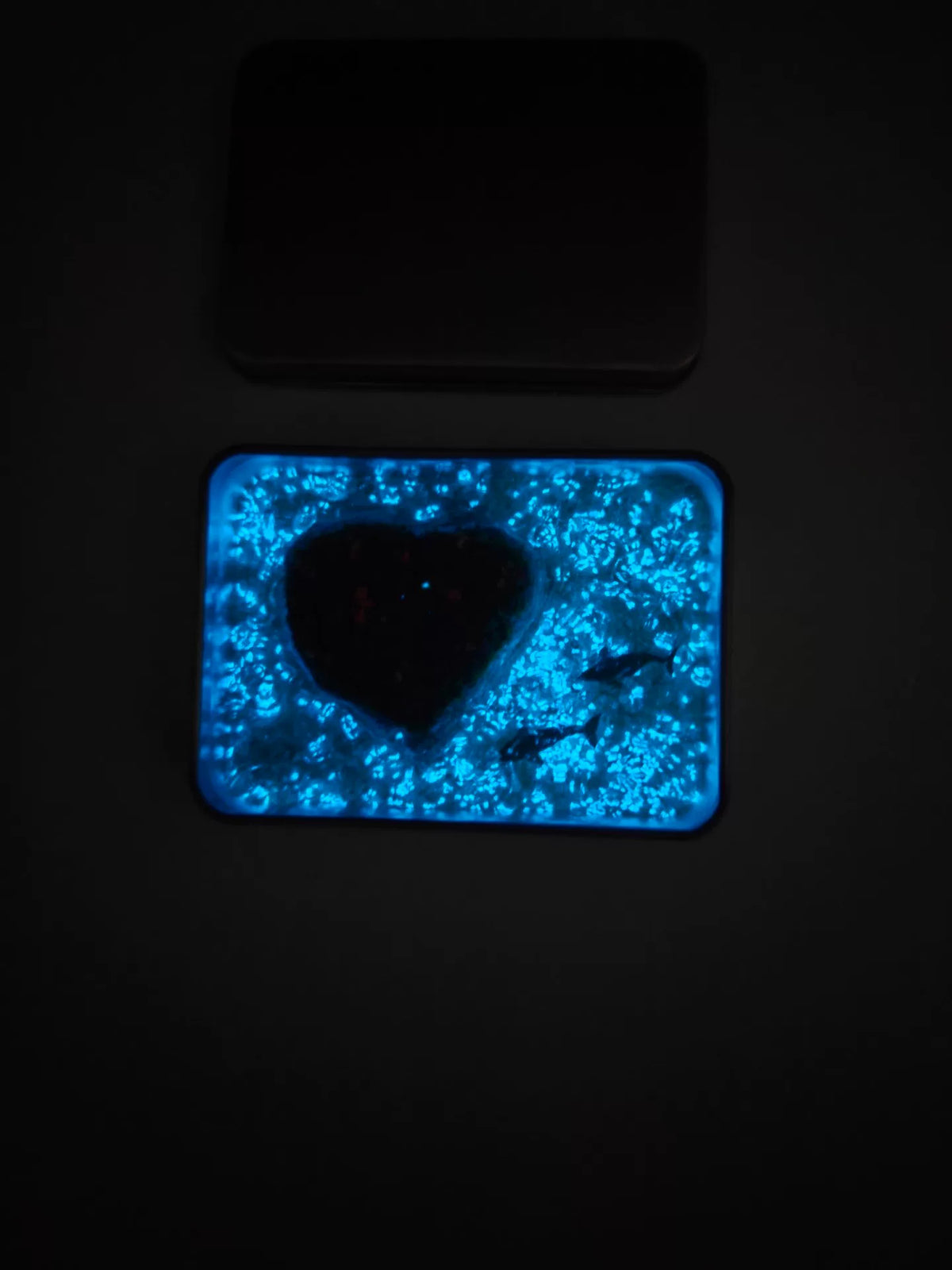 861706109938 - Image 2