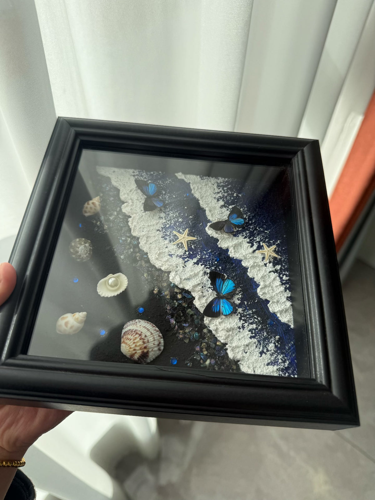 Ocean Shell and Butterfly Shadow Box Wall Art