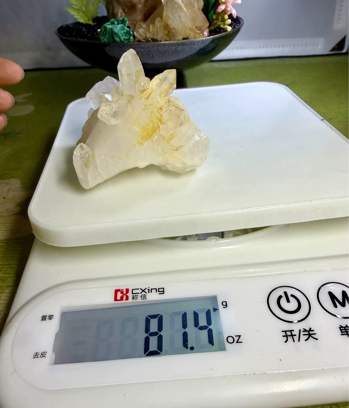 Crystal Bonsai in 12 cm donkere keramische kom