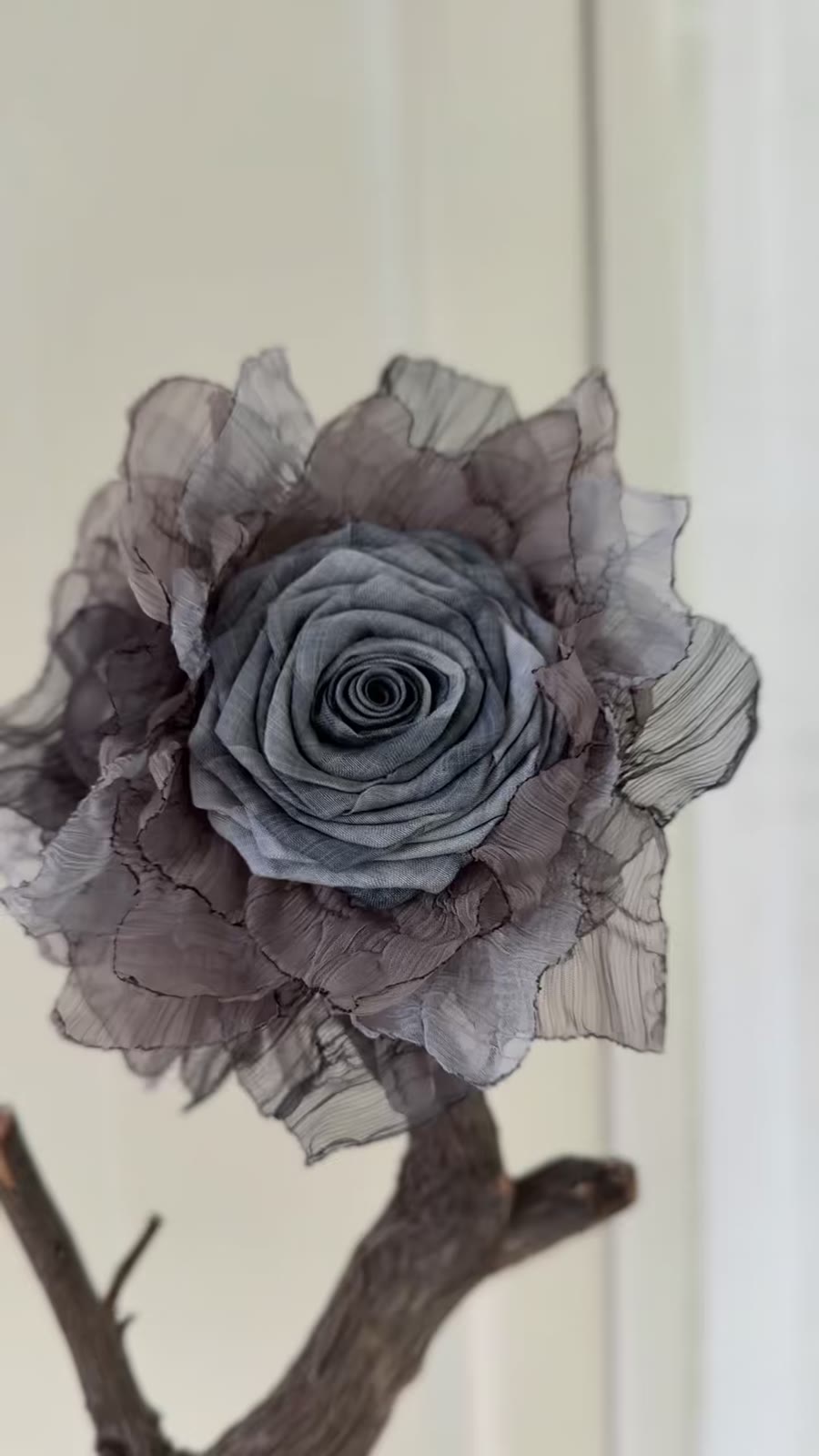 787308704316 - Image 6
