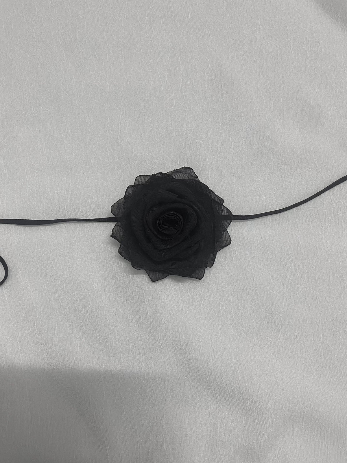 744759595746 - Image 5