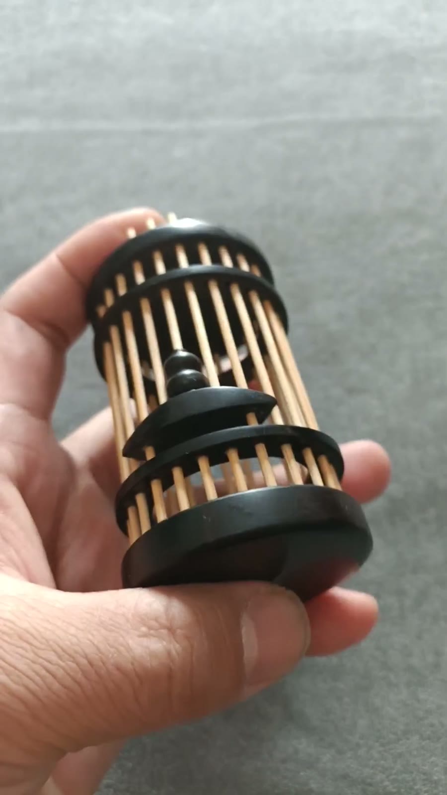 African Blackwood Katydid Cage Handheld
