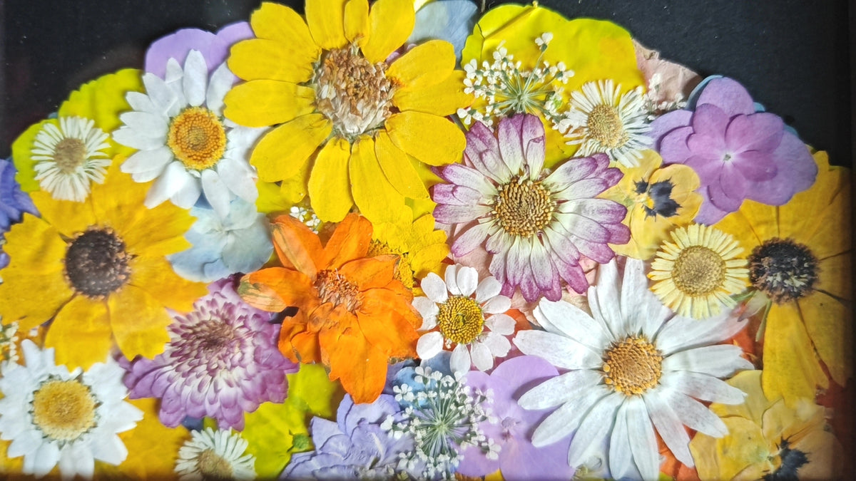 897771843755 - Image 3