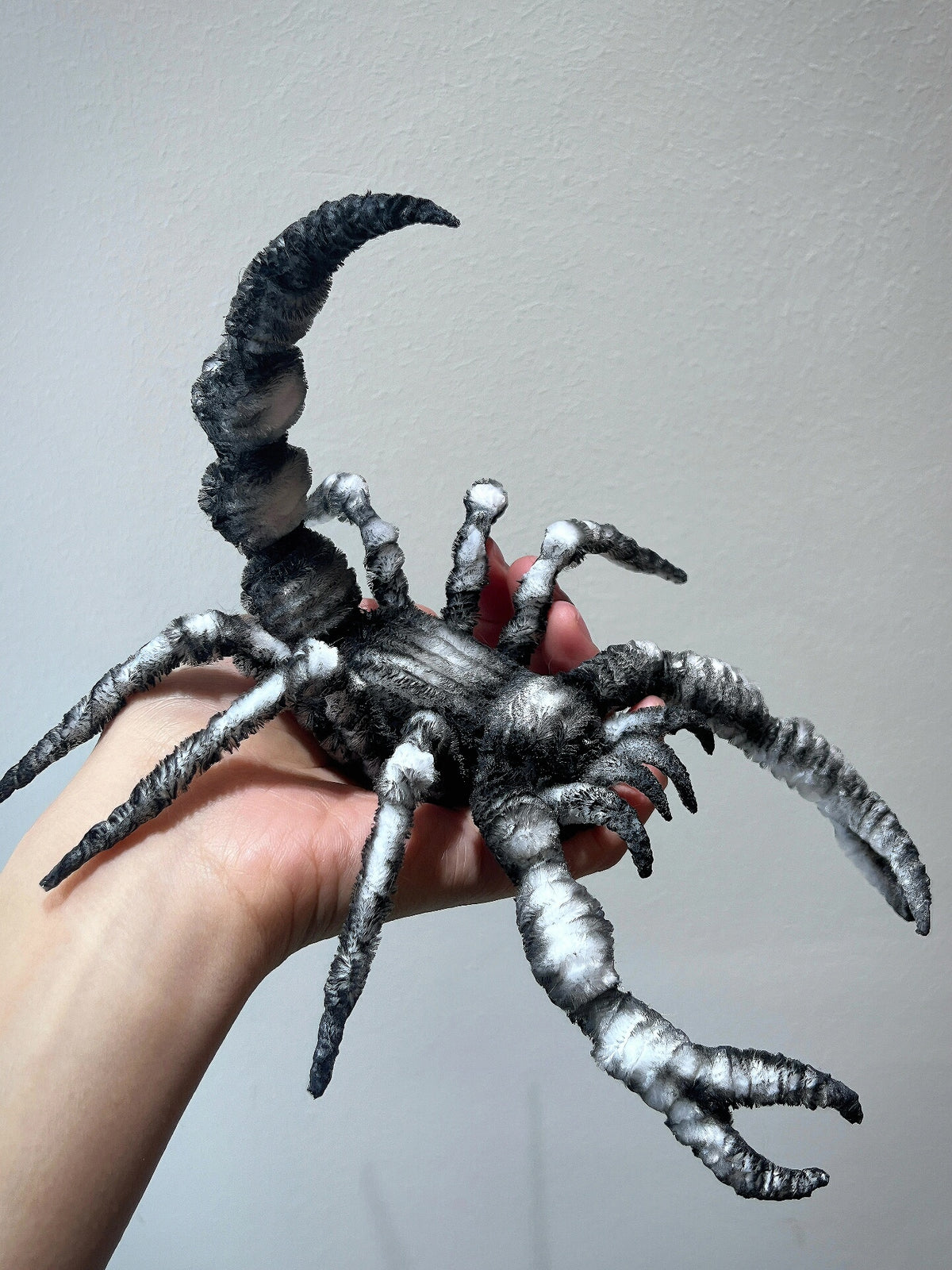 1001540499709 - Image 3