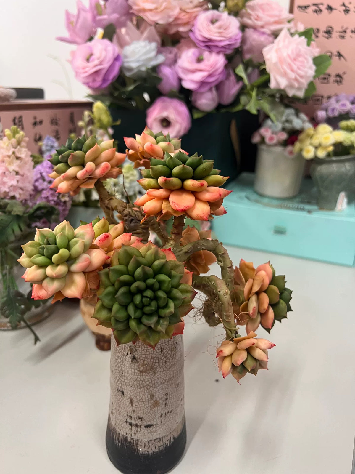Succulenta in Argilla di Resina con Sette Rossette