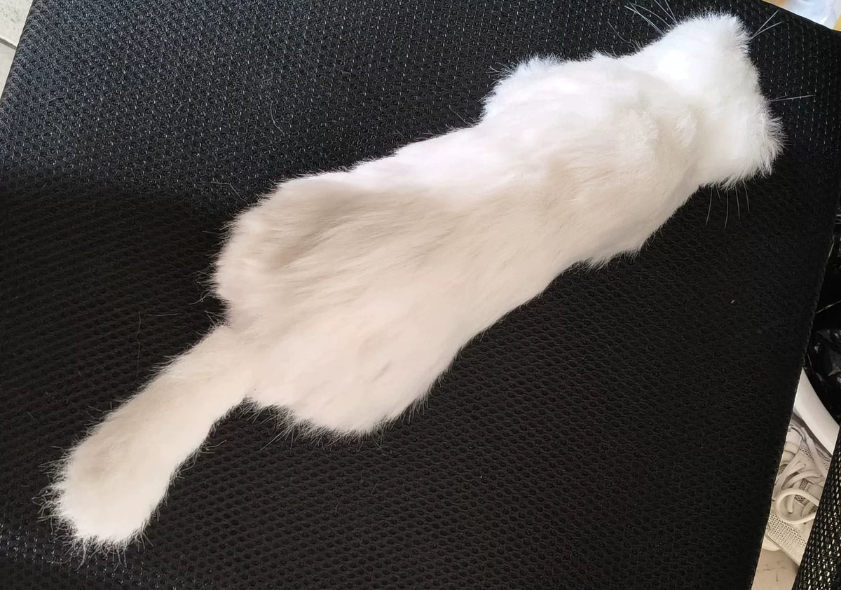 Handgemaakte replica van een langharige witte ferret