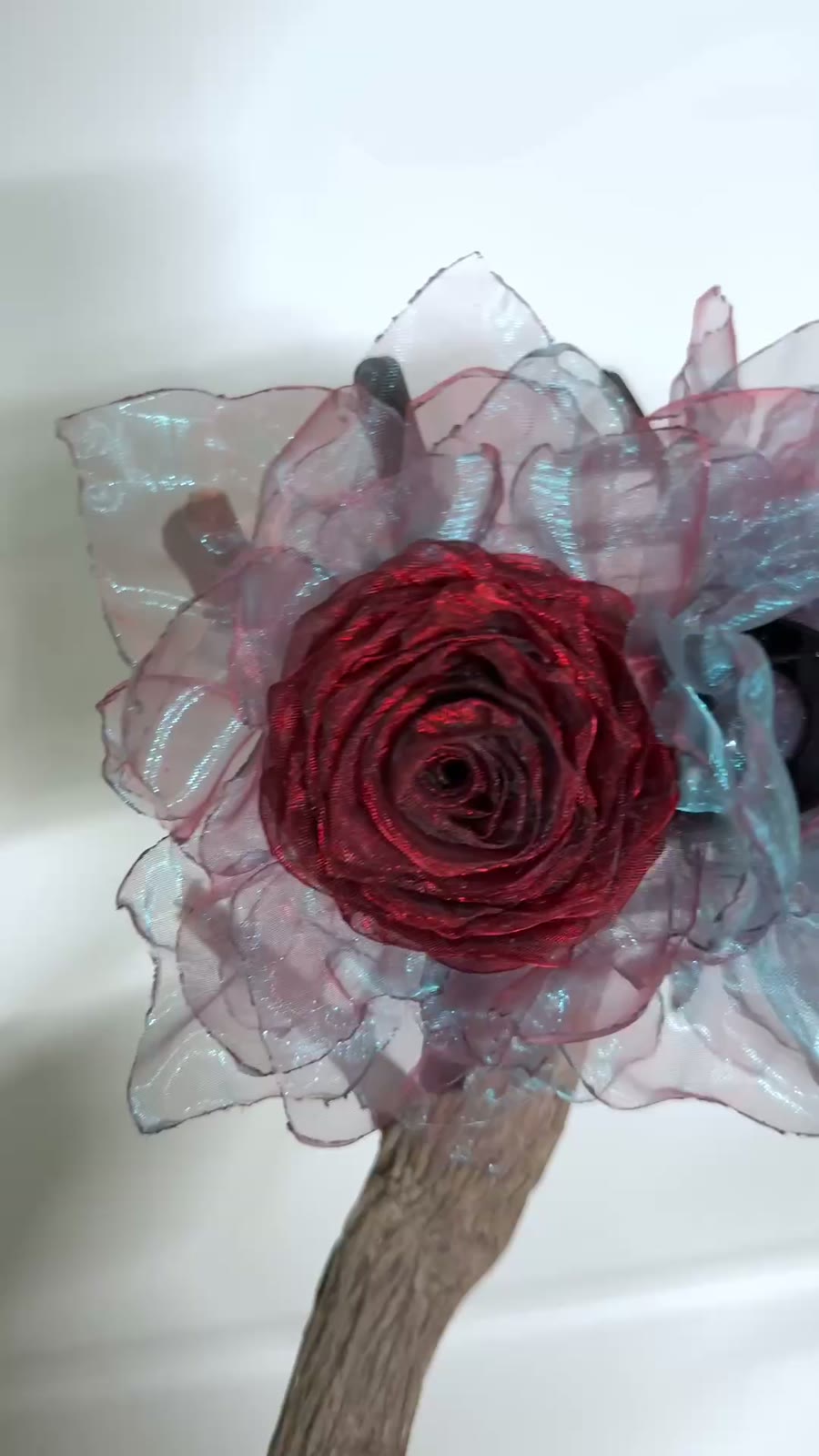 775457216582 - Image 3