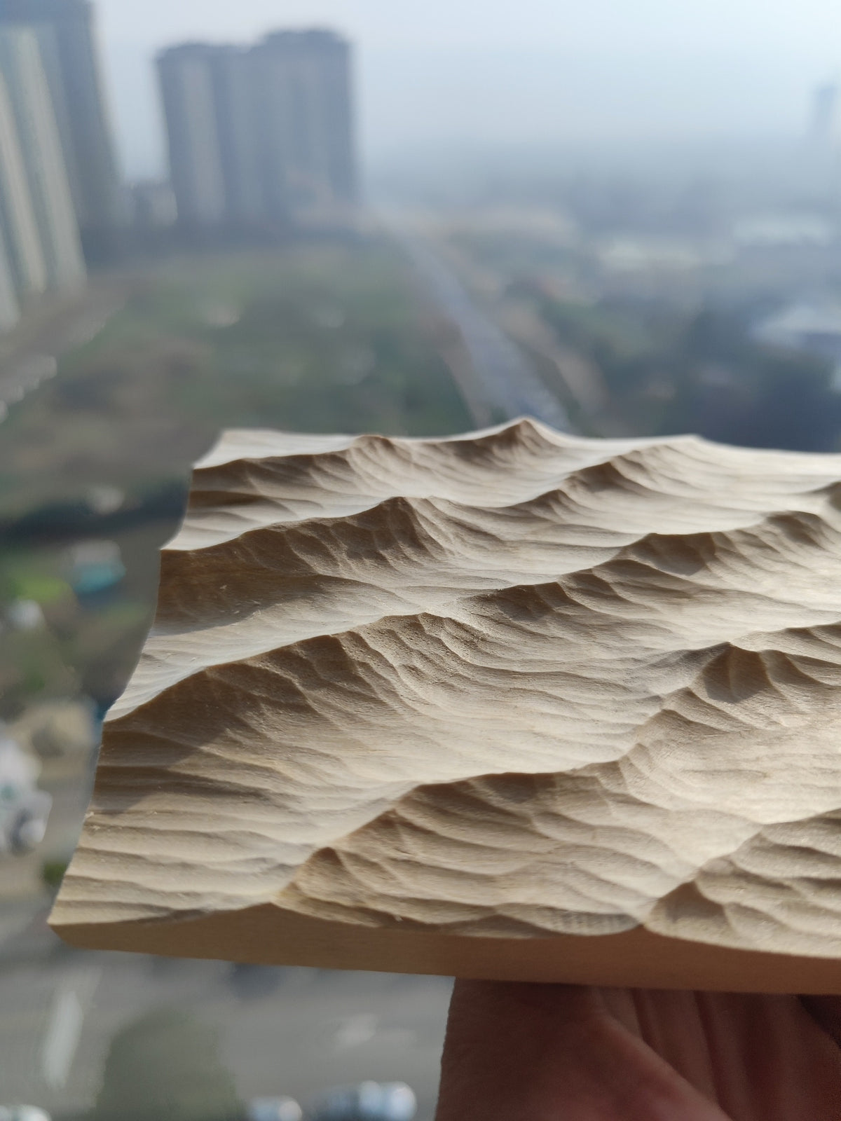 1011483698788 - Image 7