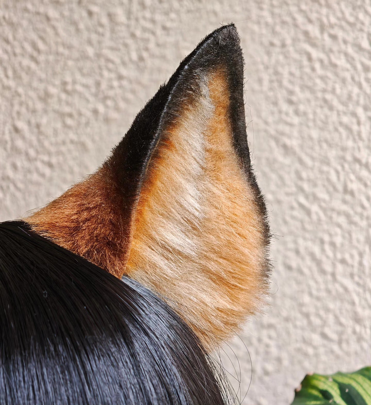 978373867946 - Image 1