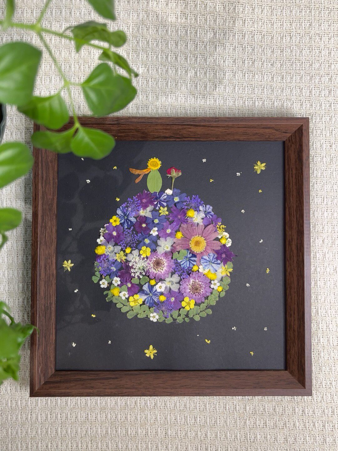 Pressed Flower Planet Picture Frame