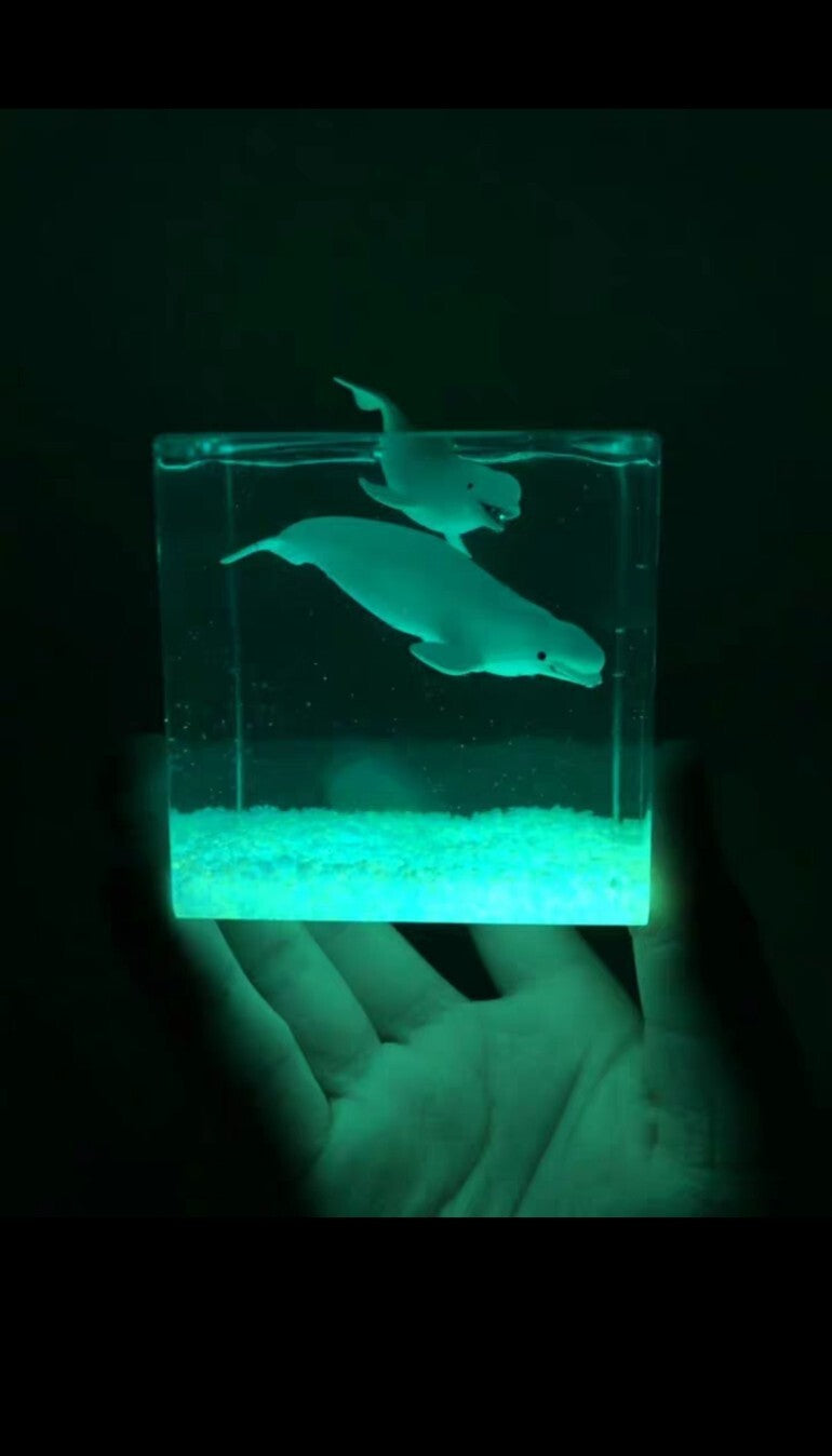 626827933542 - Image 2