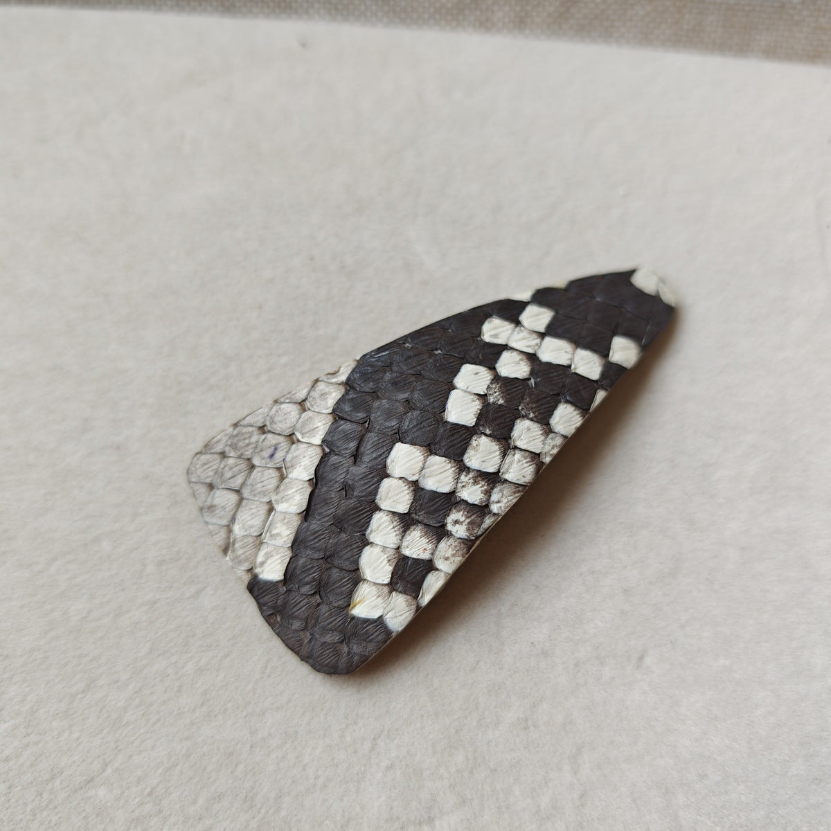 Snakeskin Hair Clips Asymmetrical Leaf Design