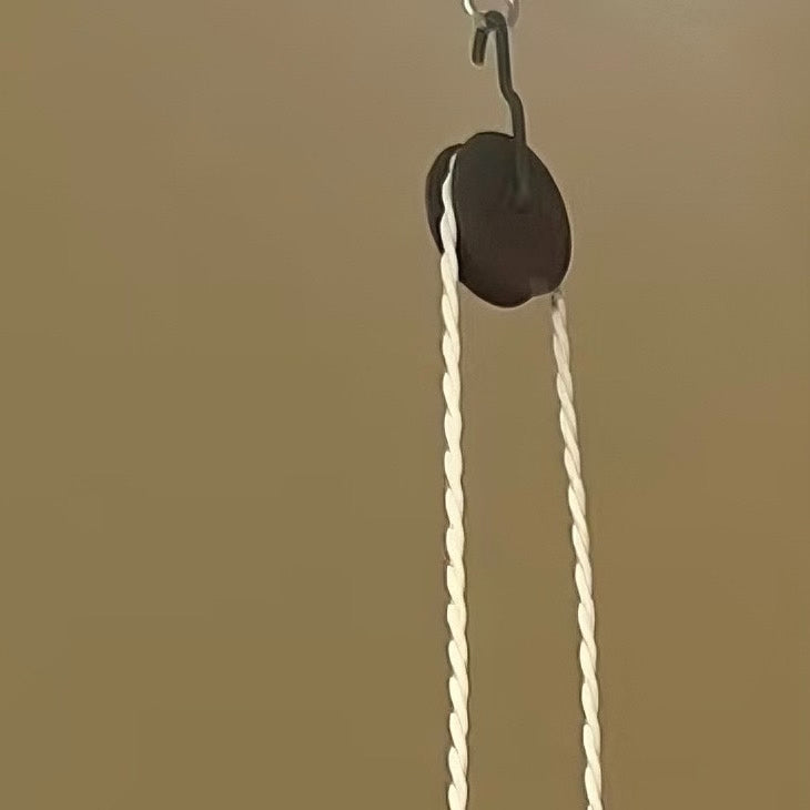 1016886496493 - Image 7