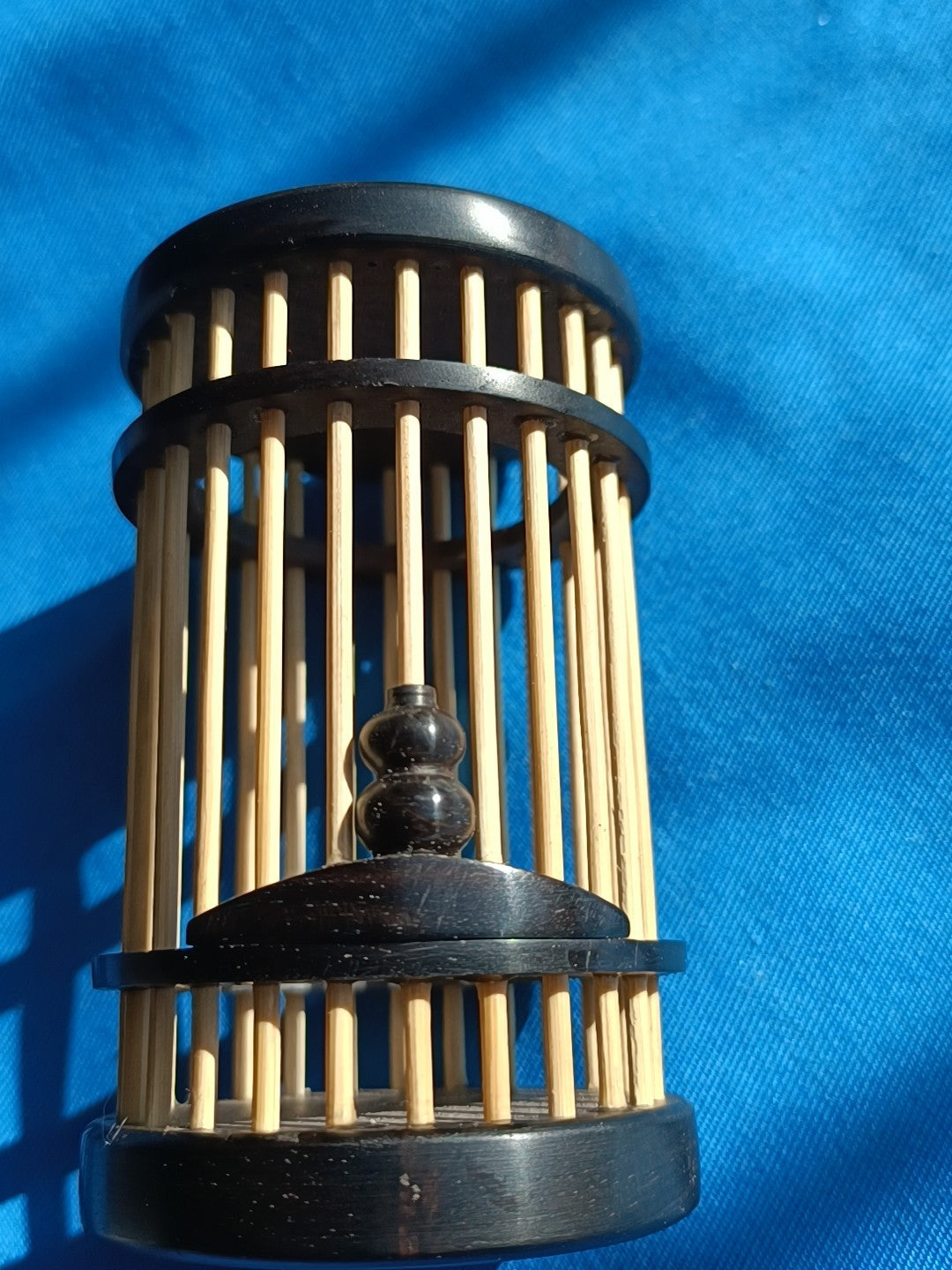 African Blackwood Katydid Cage Handheld