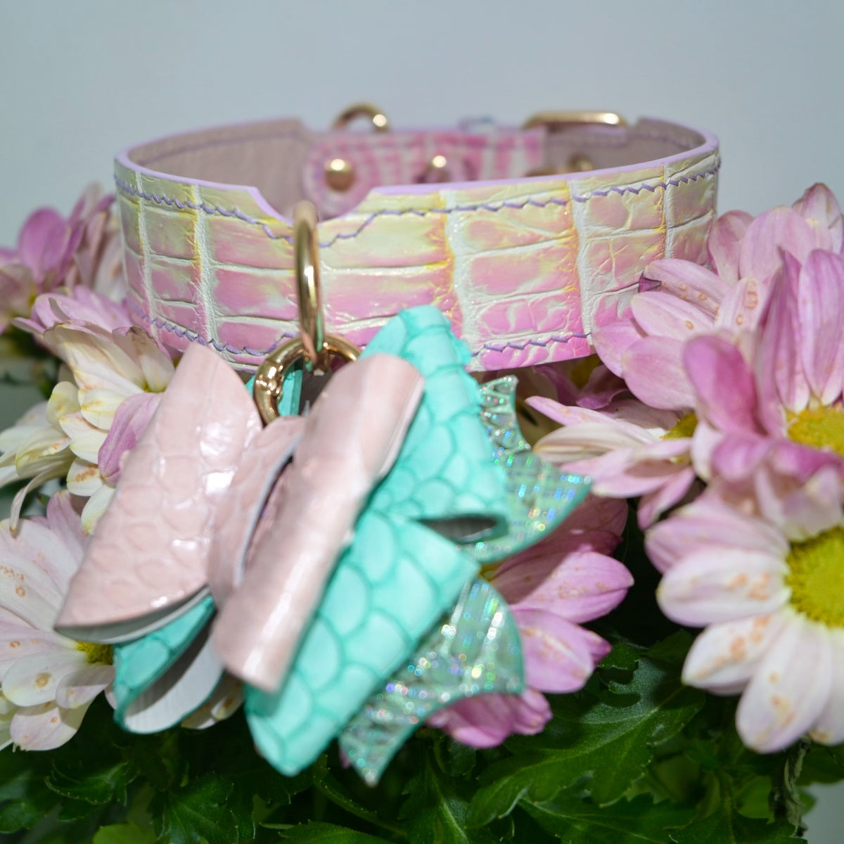 Gradient Leather Dog Collar with Bow