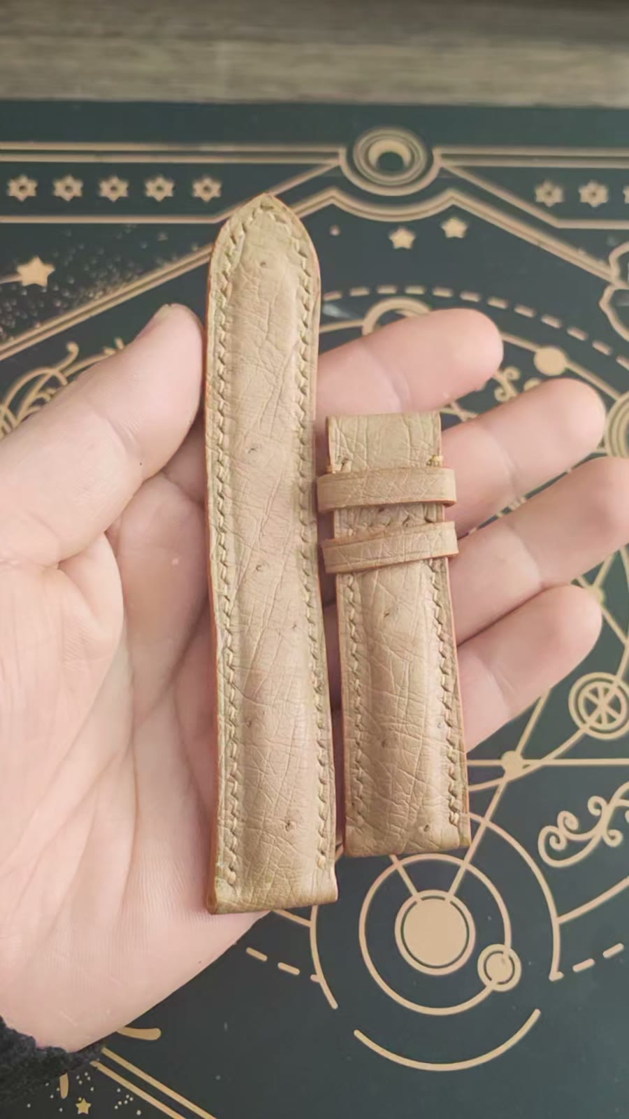 Ostrich Leather Watch Strap 22-20mm Hand Stitched