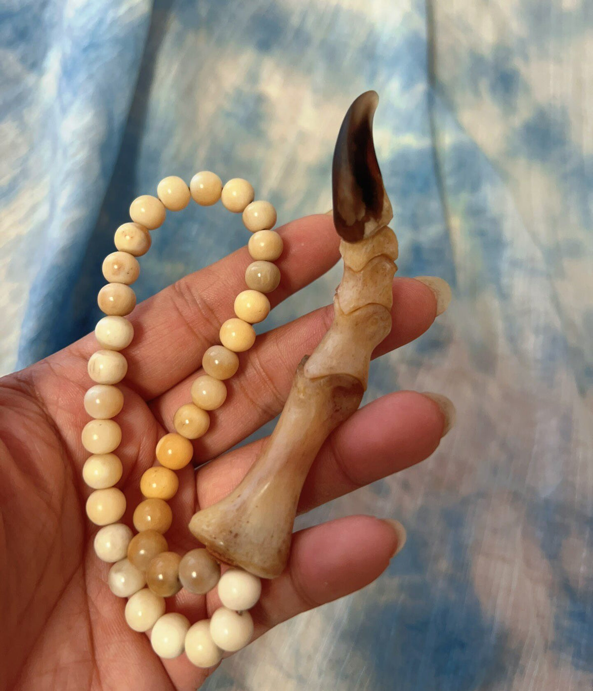 Deer Bone Emu Claw Handheld