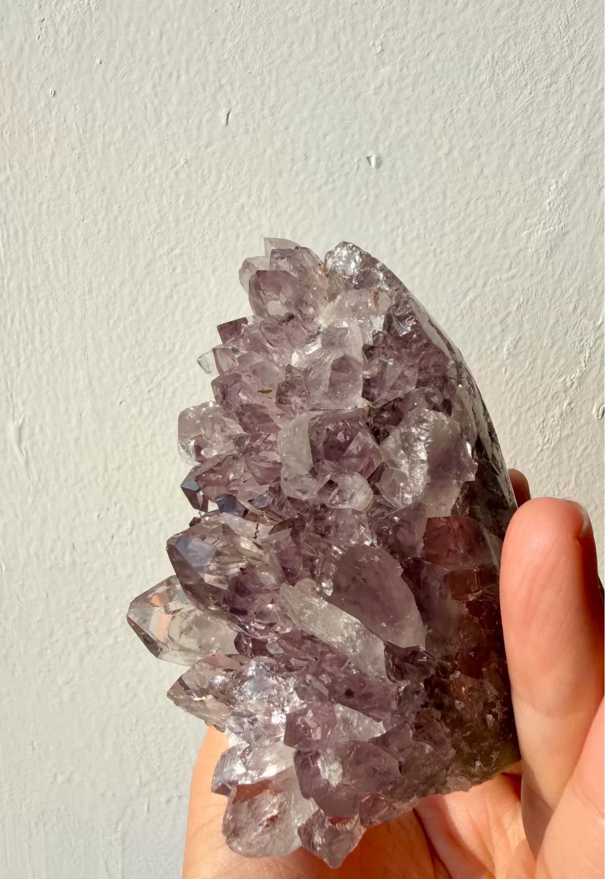 Dekorativ keramikskål med fot och mineraler i terrarium