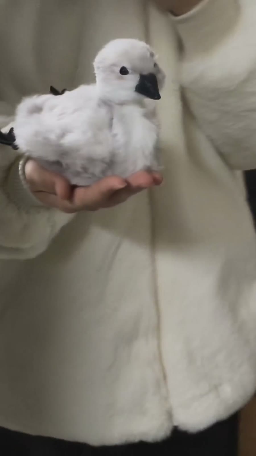 Handgakte Chenille Baby Zwaan Figuur