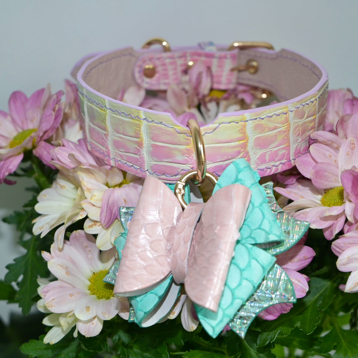 Gradient Leather Dog Collar with Bow