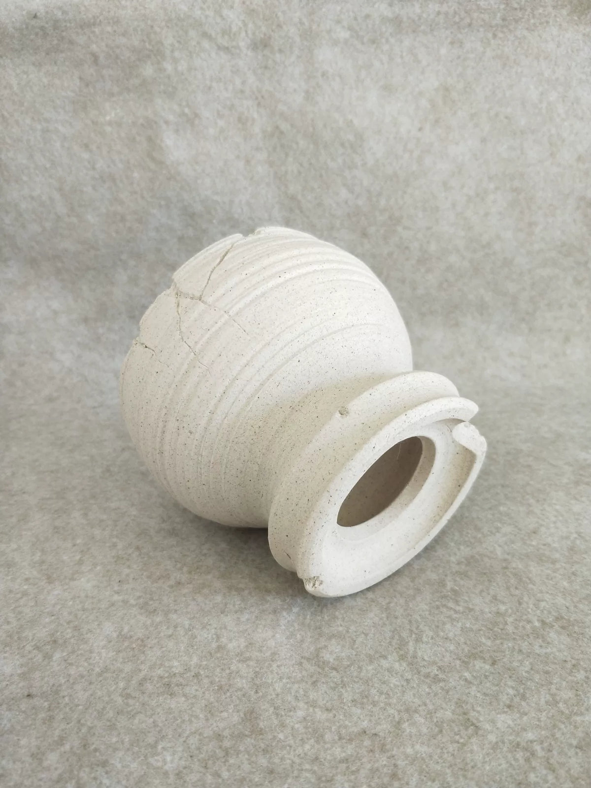 732589583051 - Image 5