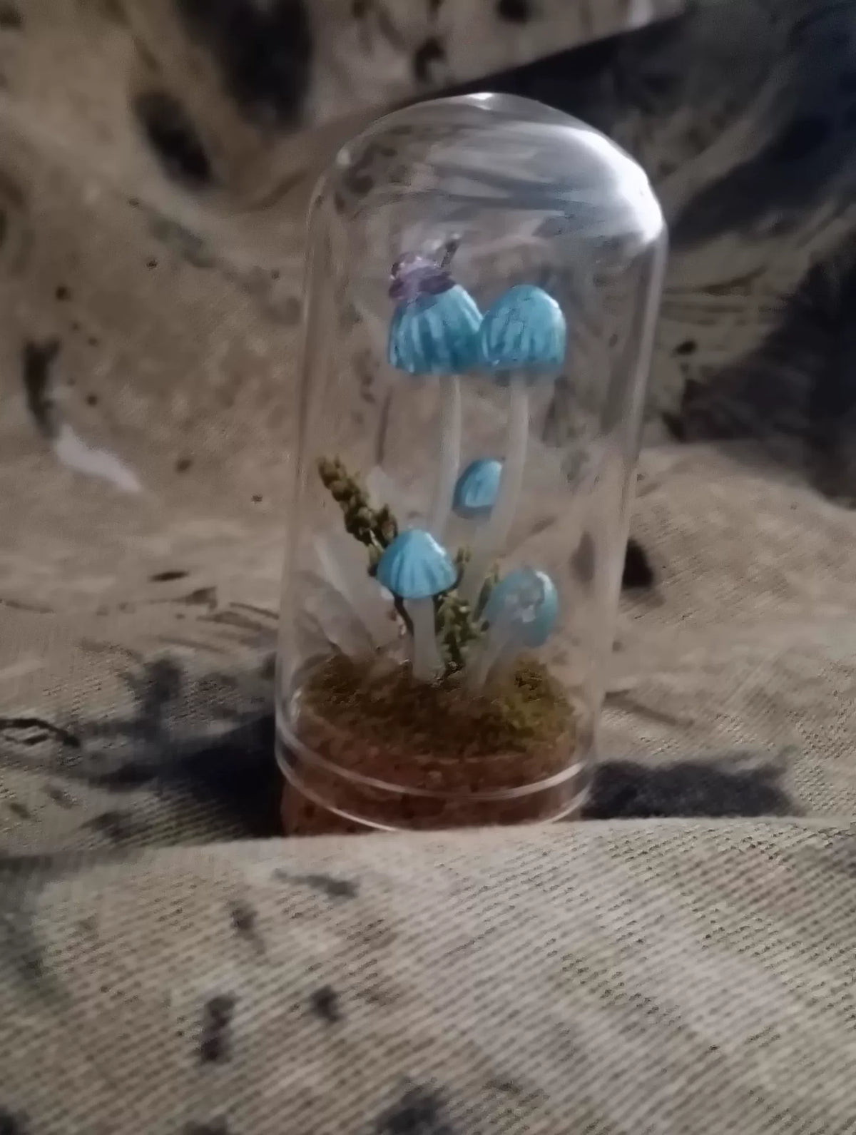 Terrário Artesanal de Cogumelos Azuis em Campânula de Vidro