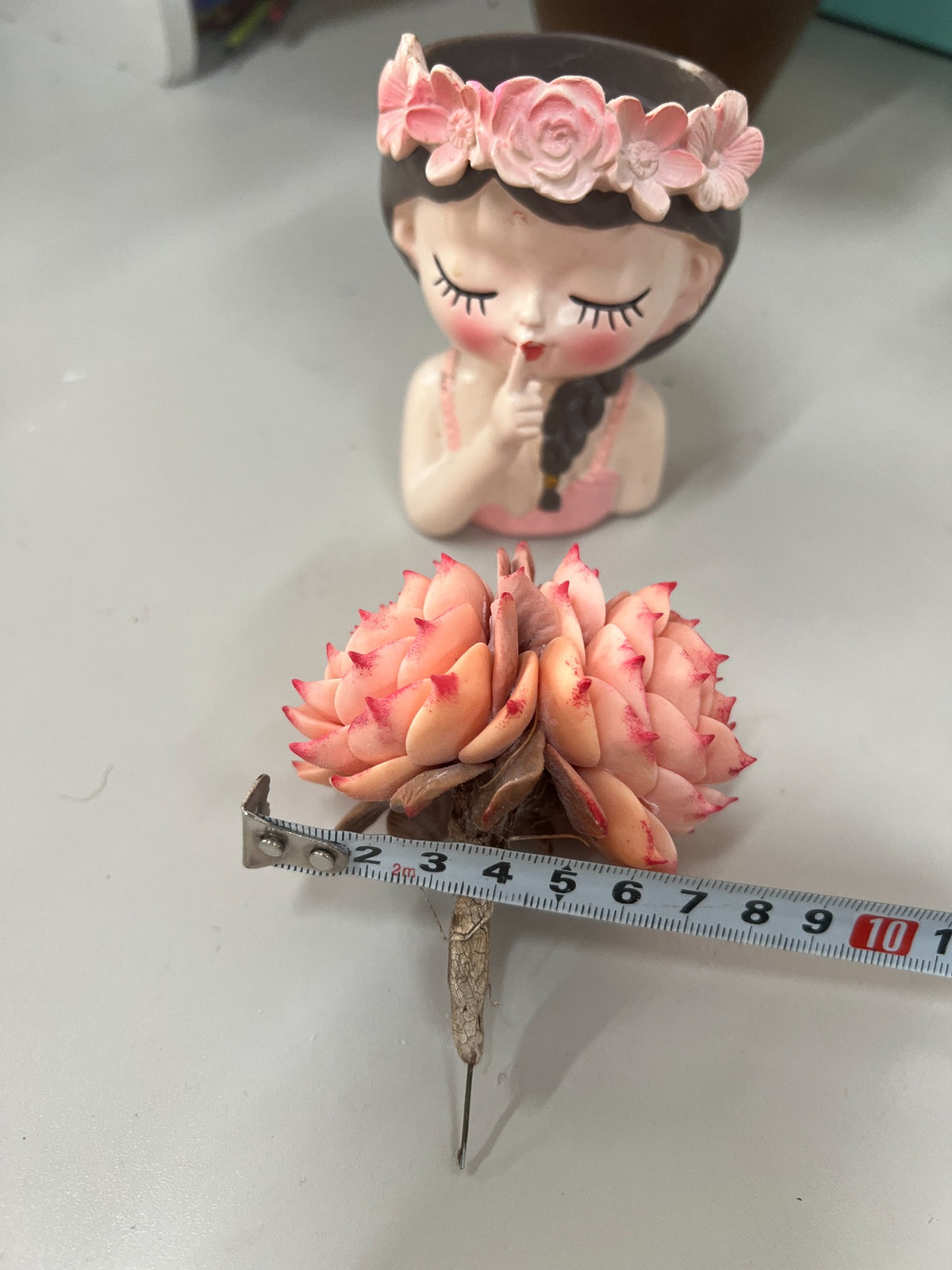 Handmade Resin Clay Double Headed Succulent