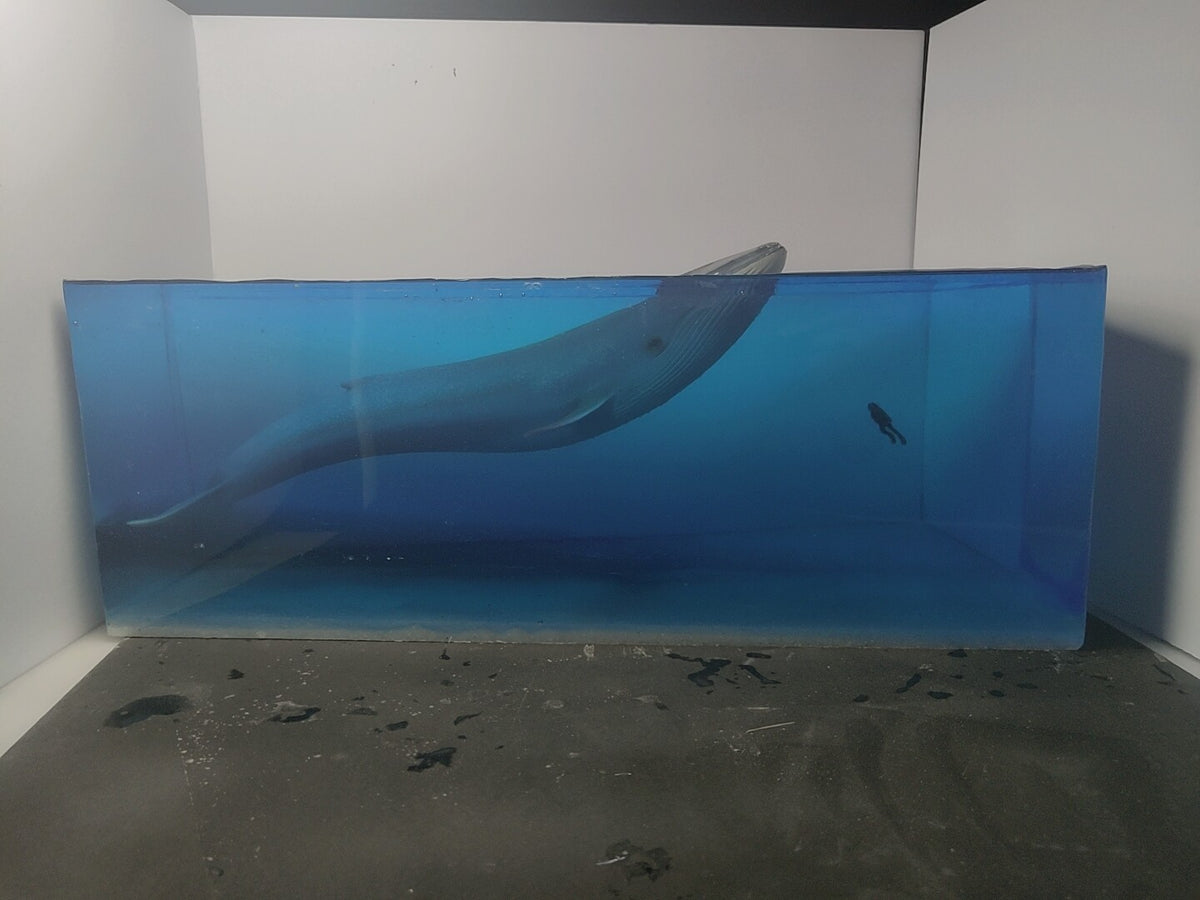 Blue Whale Diver Resin Ocean Diorama
