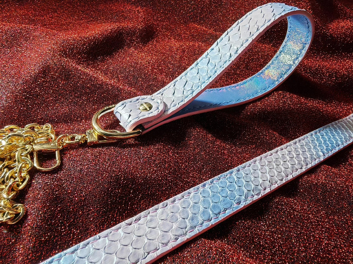 Pink Blue Gradient Snake Collar Leash Set