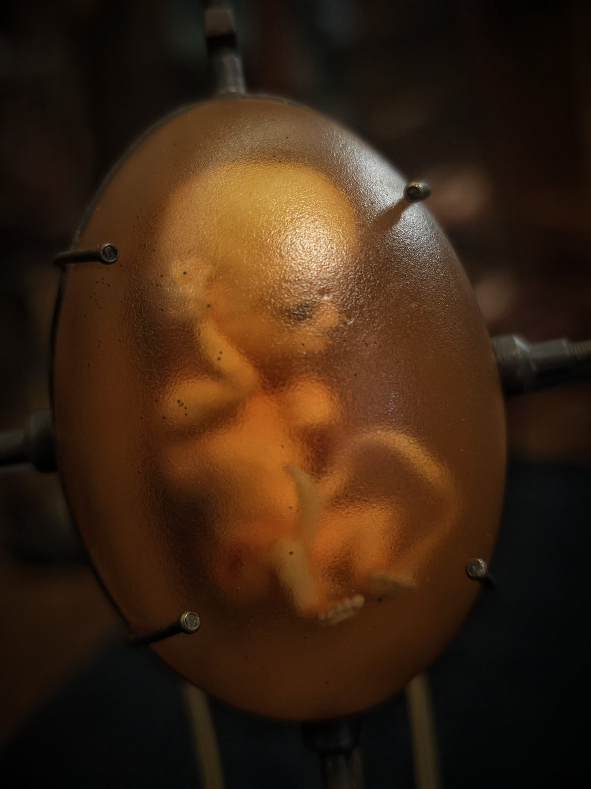 Steampunk Fetus Sculpture Copper Gear Art
