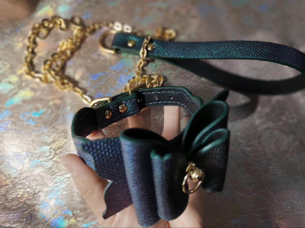 Groen Paars Zandslenhuid Pet Halsband Strik Riem Set