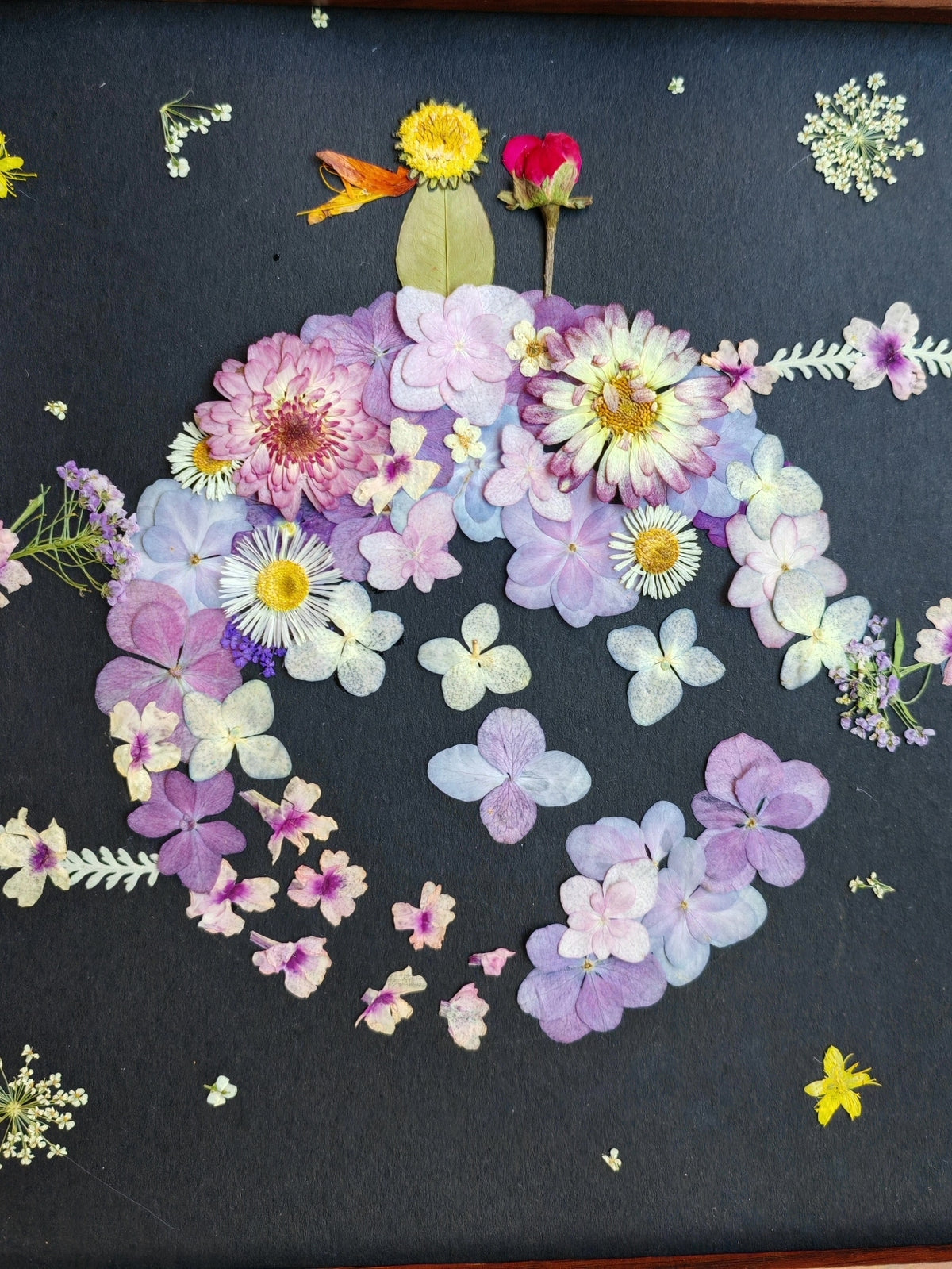 Pressed Flower Planet Art in Wood Frame