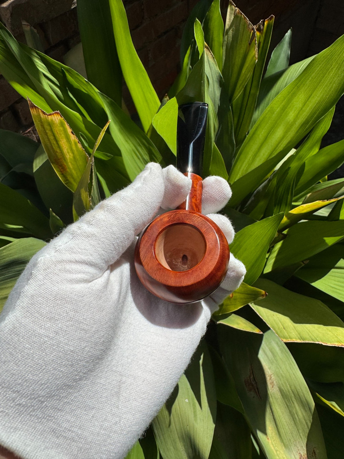 1062403713904 - Image 6