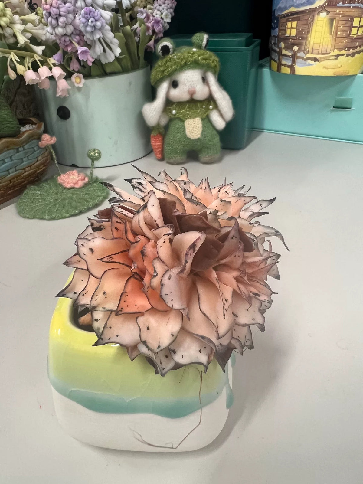 Succulenta Echeveria Crestata in Argilla di Resina e Vaso in Ceramica