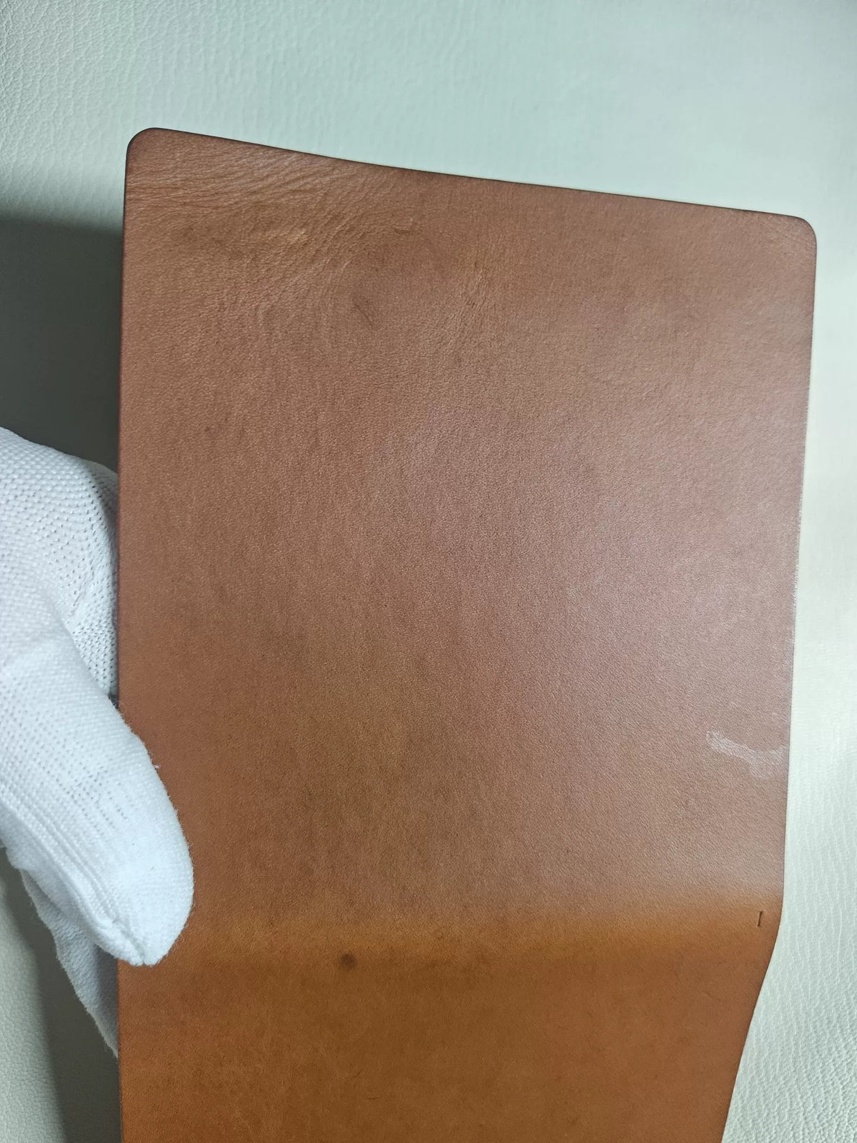 1093003024248 - Image 3