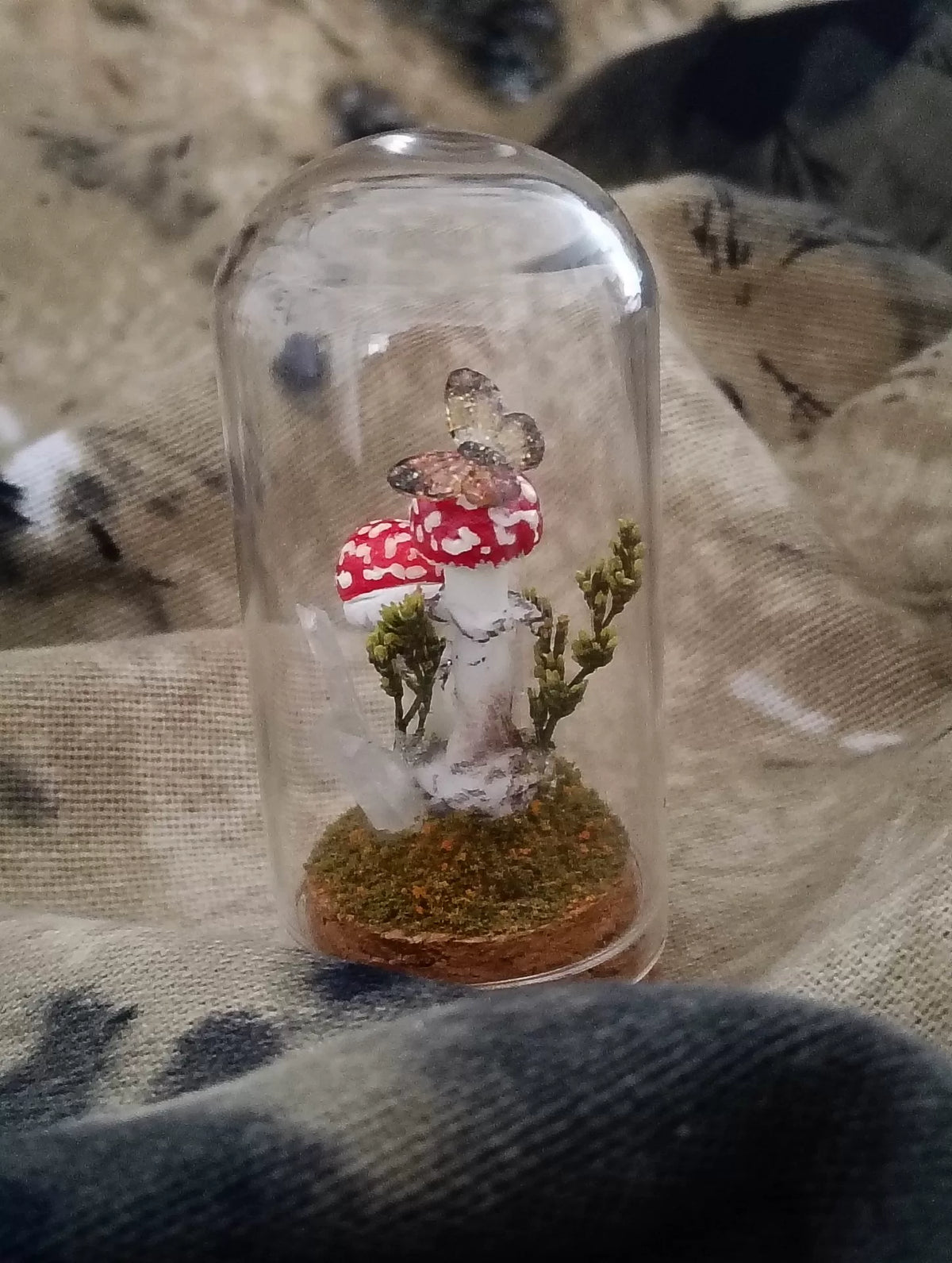 Handgjort svampterrarium i glaskupa