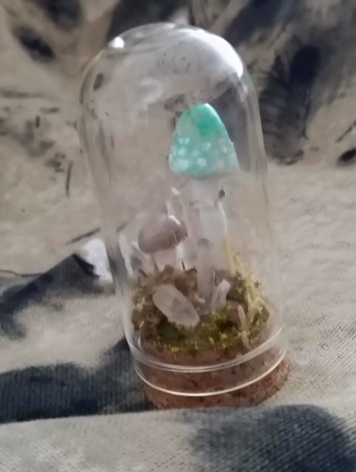 Handgjort svampterrarium i glaskupa