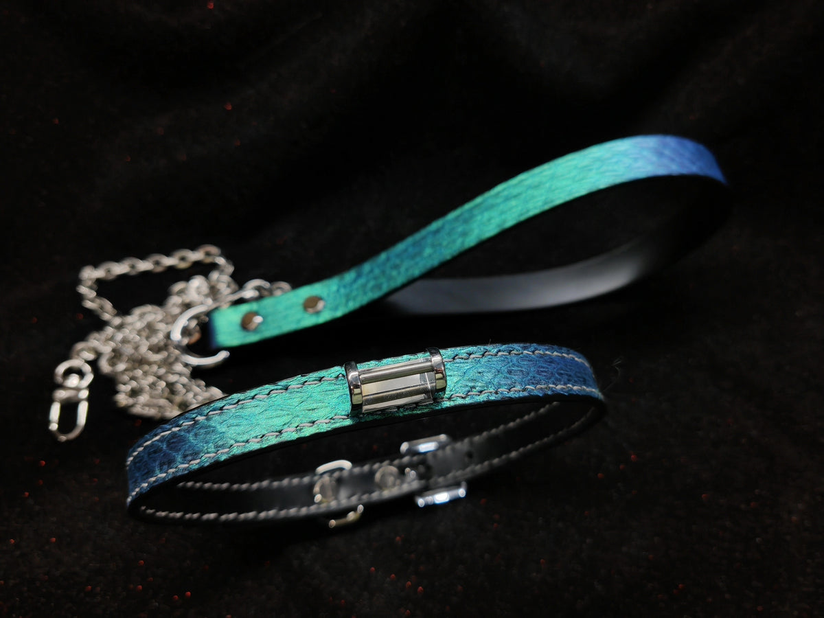 Iridescent Snakeskin Leather Pet Collar Leash Set
