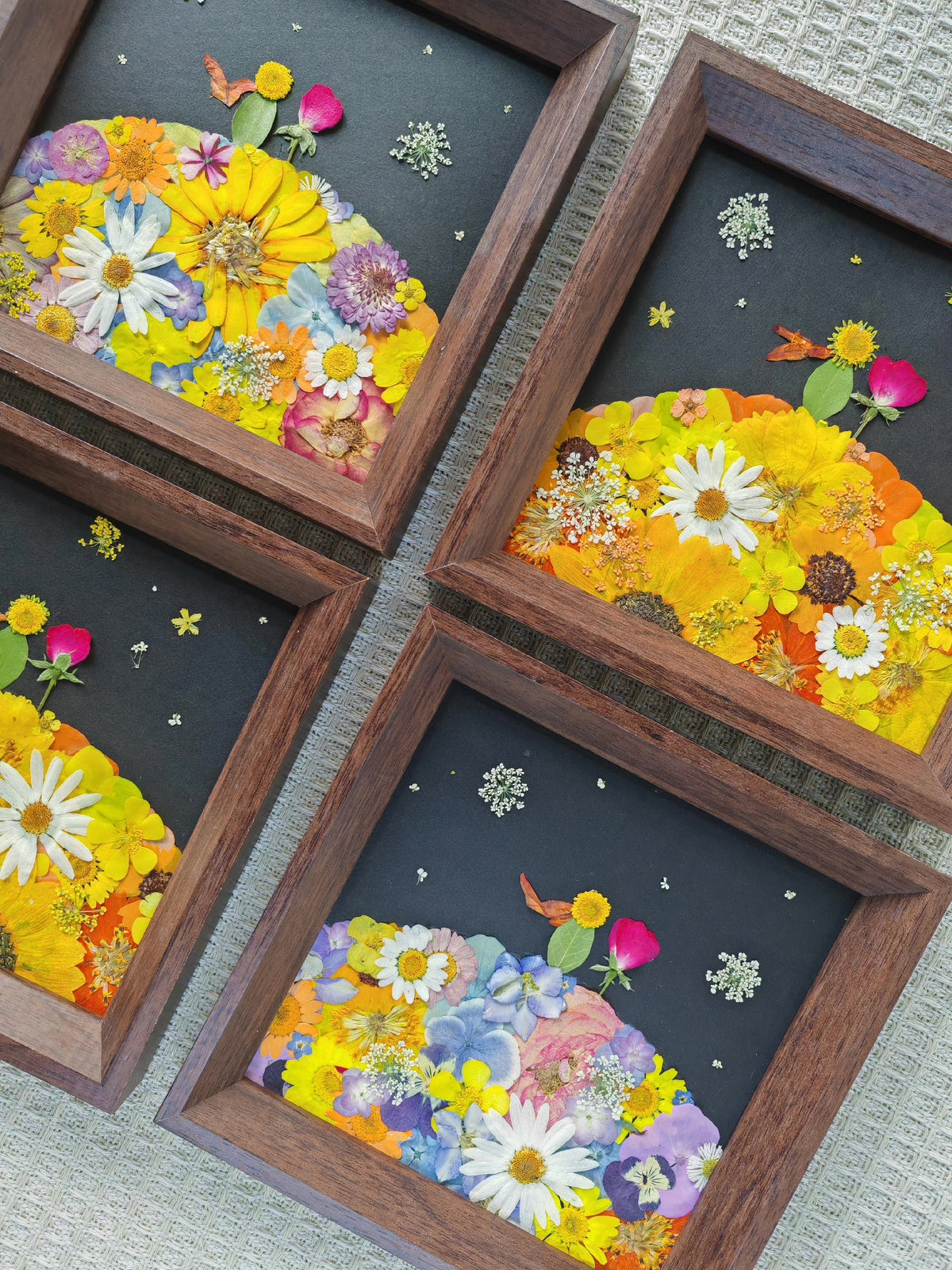 Pressed Flower Little Prince Picture Frame