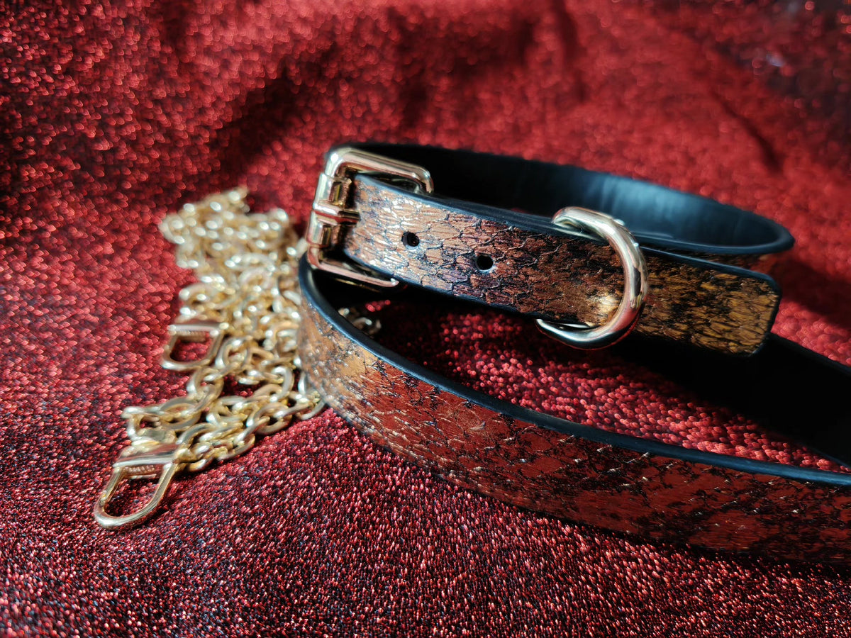 Snake Skin Leather Collar and Leash Set