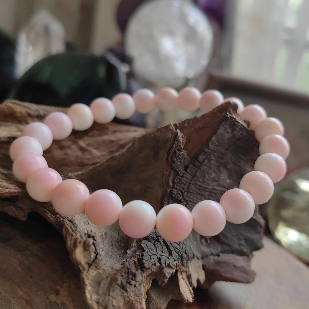 Natural Queen Conch Shell Bead Bracelet