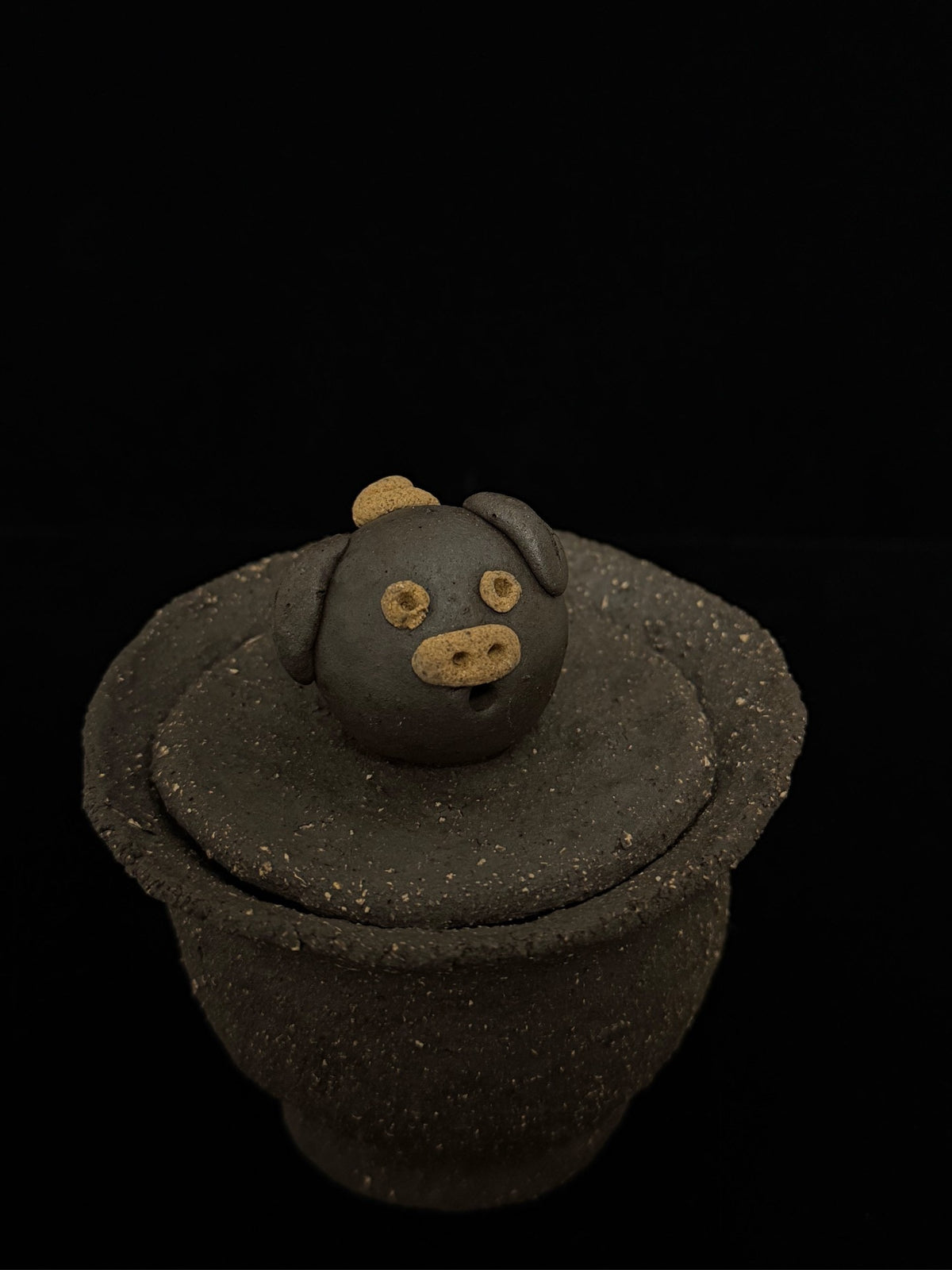 Pig Knob Gaiwan Black Box Glass Mud 120ml