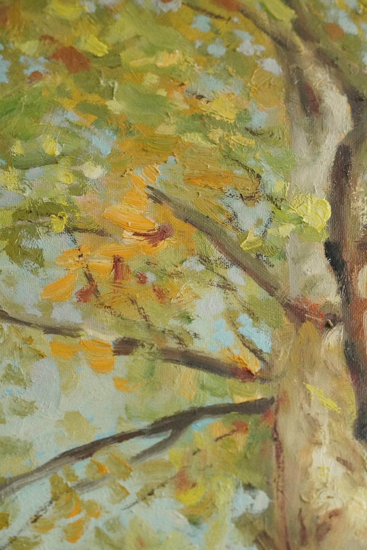 Tree Shadow Original Oil Painting 30x50