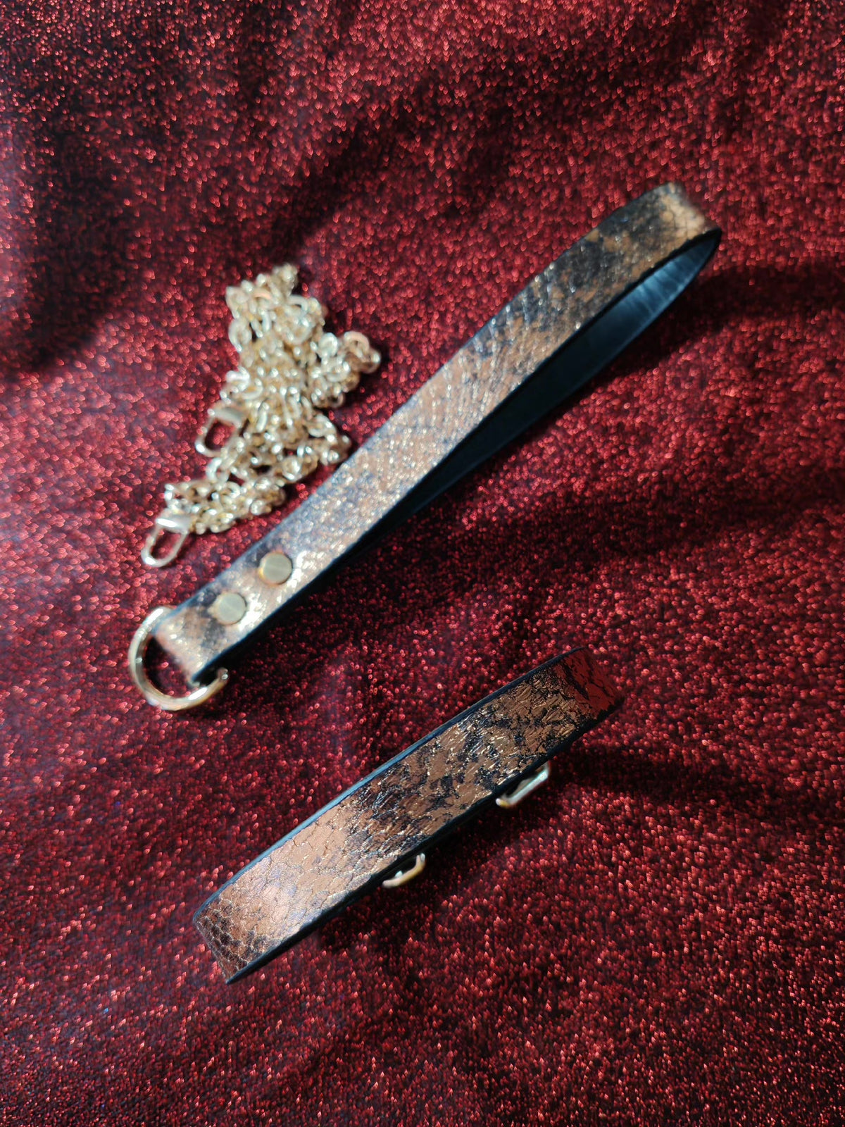 Snake Skin Leather Collar and Leash Set
