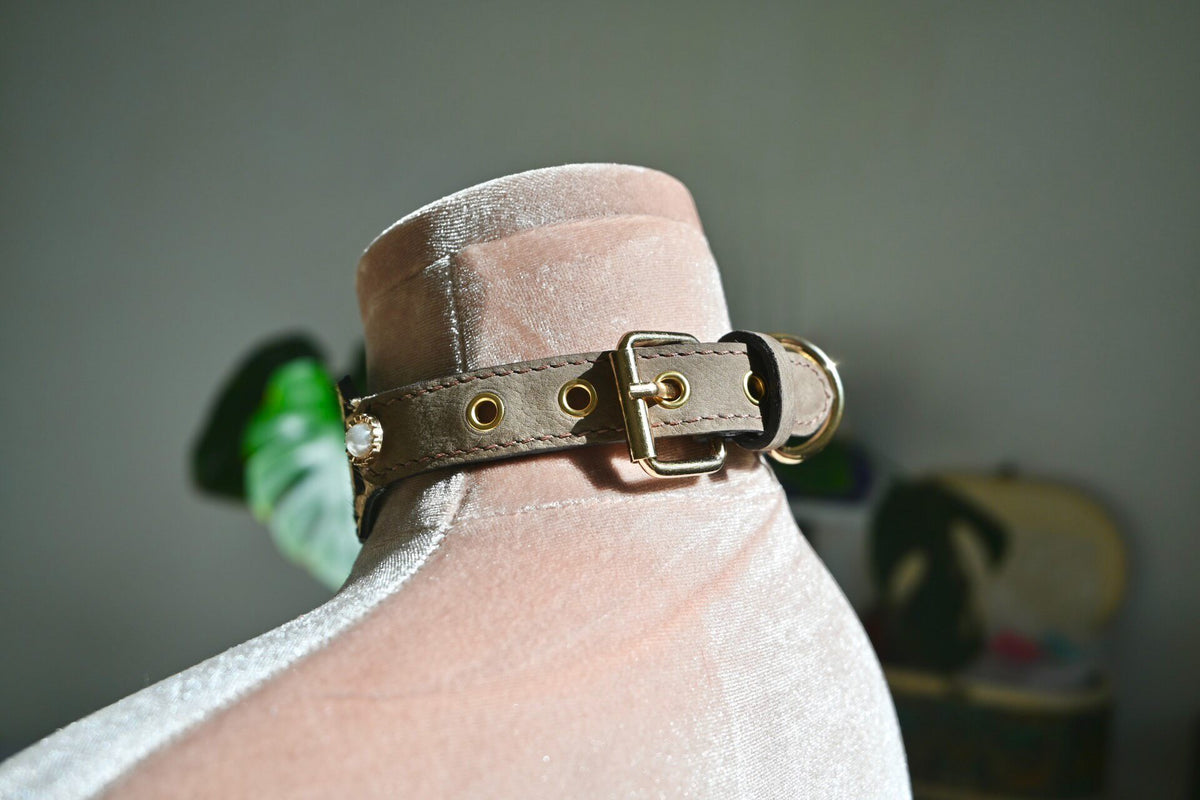 991250737220 - Image 6