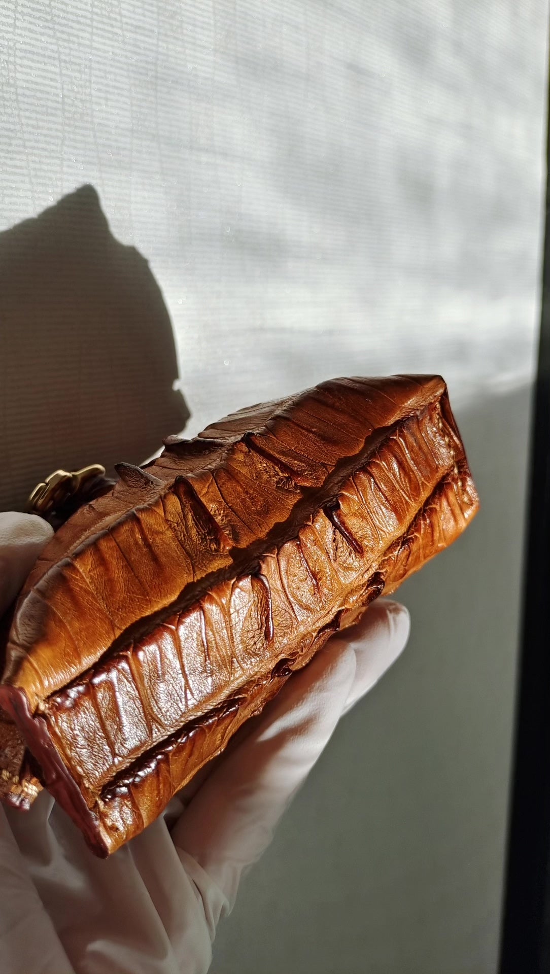 1003210509125 - Image 3