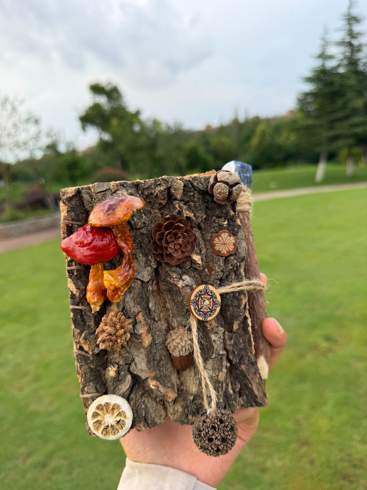 Handmade Tree Bark Notebook with Mushroom Cover